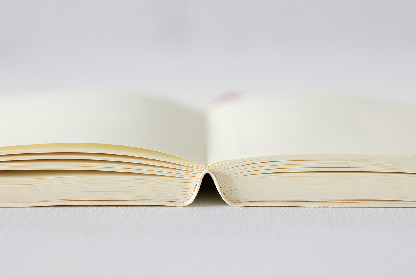 Midori MD Notebook Diary - 1 Day 1 Page 2024
