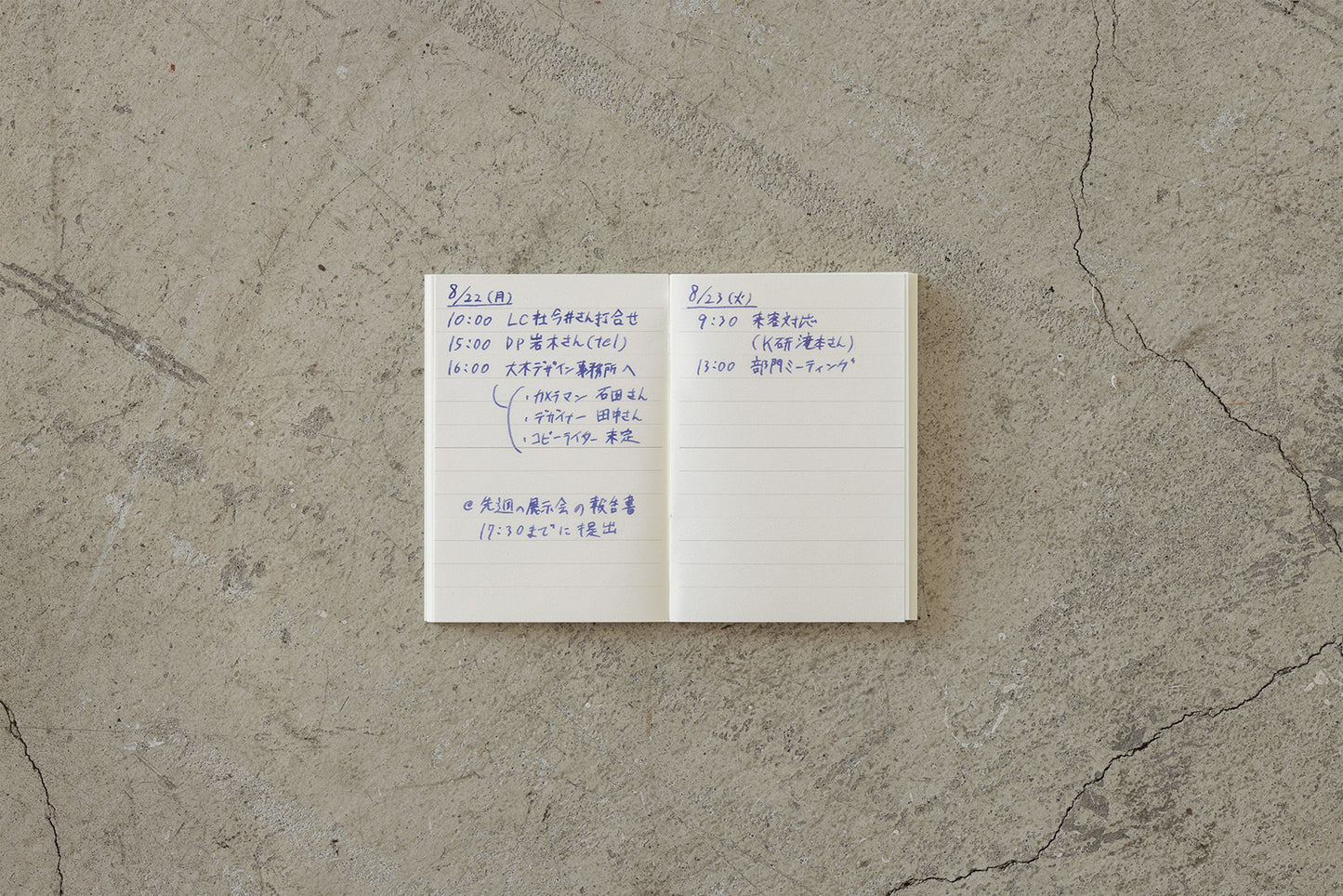 Midori MD Notebook Light